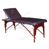 Массажный стол DFC NIRVANA Relax Pro(TS3022_B1)