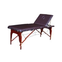 Массажный стол DFC NIRVANA Relax Pro (TS3022_CB)
