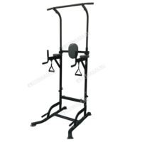 Стойка для подтягиваний DFC POWER TOWER G008