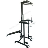 Тренажер Multi Power Basic Trainer со скамьей DFC VT-7005
