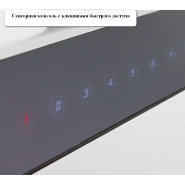 Беговая дорожка APPLEGATE T5 Panel 7