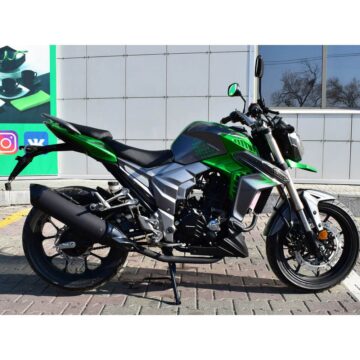 Мотоцикл Regulmoto T-Leopard 300 1
